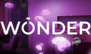 Wonder sur Meta Quest : Une expérience immersive et contemplative en réalité mixte